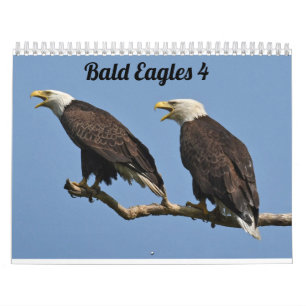 Bald Eagles $ Calendar