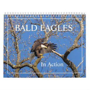 Bald Eagles In Action Calendar