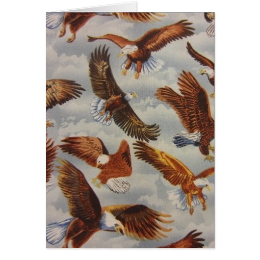 Bald Eagles in Flight Cards (Front)