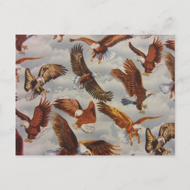 Bald Eagles in Flight Postcard (Front)