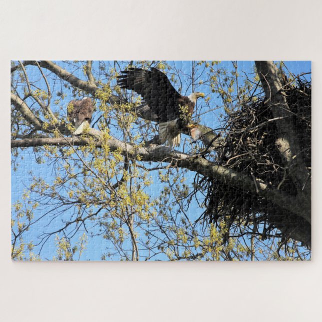 Bald Eagles Nesting Jigsaw Puzzle (Horizontal)