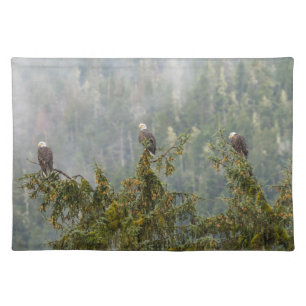 Bald Eagles   Tongass National Forest Alaska Cloth Placemat