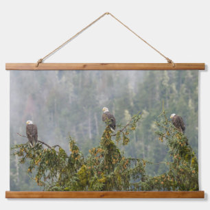 Bald Eagles Tongass National Forest Alaska Hanging Tapestry