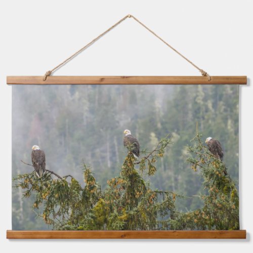 Bald Eagles  Tongass National Forest Alaska Hanging Tapestry