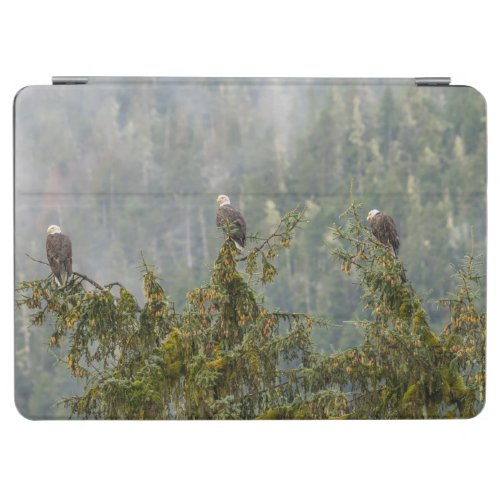 Bald Eagles  Tongass National Forest Alaska iPad Air Cover