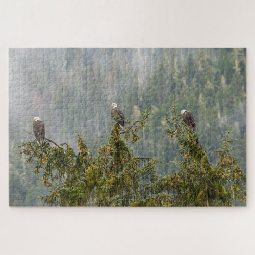 Bald Eagles  Tongass National Forest Alaska Jigsaw Puzzle