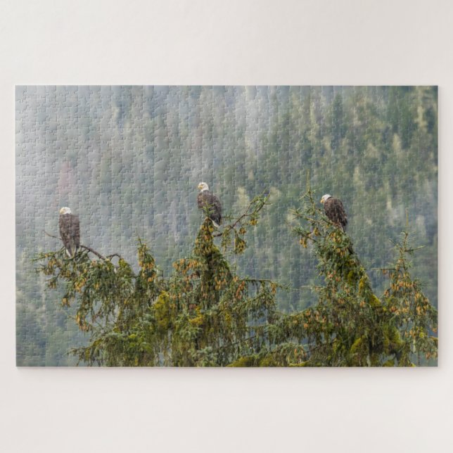Bald Eagles | Tongass National Forest Alaska Jigsaw Puzzle (Horizontal)