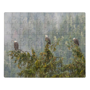 Bald Eagles Tongass National Forest Alaska Jigsaw Puzzle