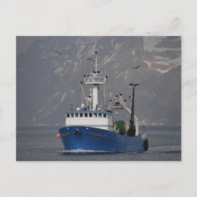 Bald Eagles Welcoming the Starward Home Postcard (Front)