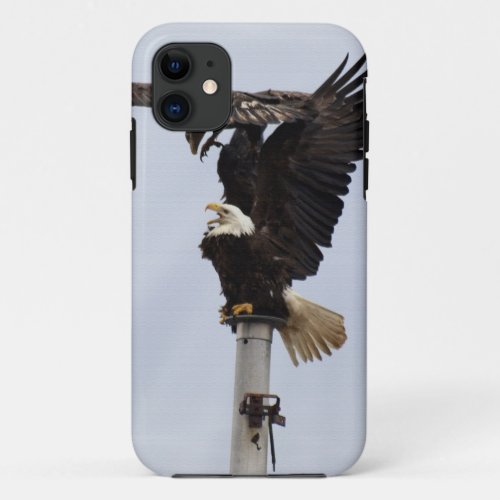 Bald Eagles Wildlife Phone Cases