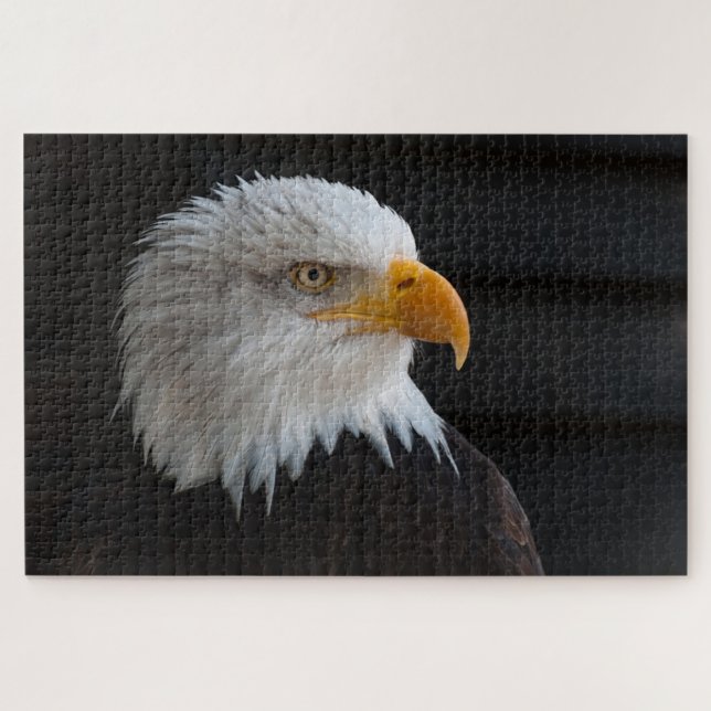 Bald head eagle jigsaw puzzle (Horizontal)