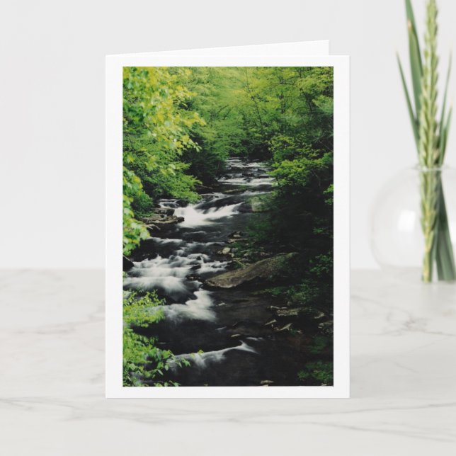Bald River Cascades Greeting Card (Front)