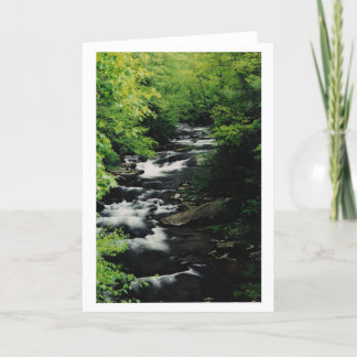 Bald River Cascades Greeting Card