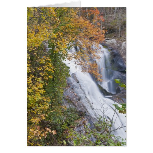 Bald River Falls (Front)