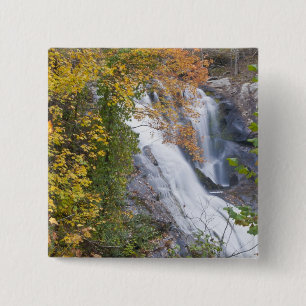 Bald River Falls Pinback Button