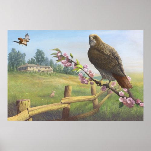 Baldpate Red_tails Print