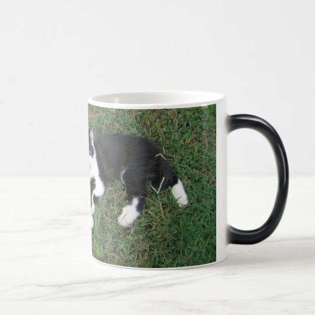 Baldwin Farm Morphing Mug (Right)