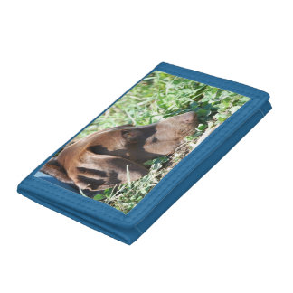 Baldwin Farms Tri-fold Wallet Collection