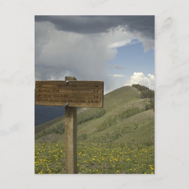 baldy peak trail postcard (Front)