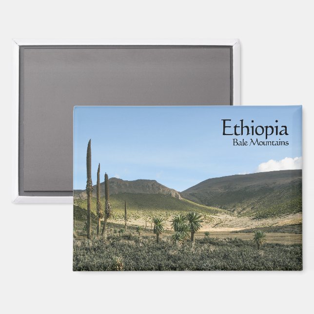Bale Mountains Ethiopia Magnet (Front/Back)