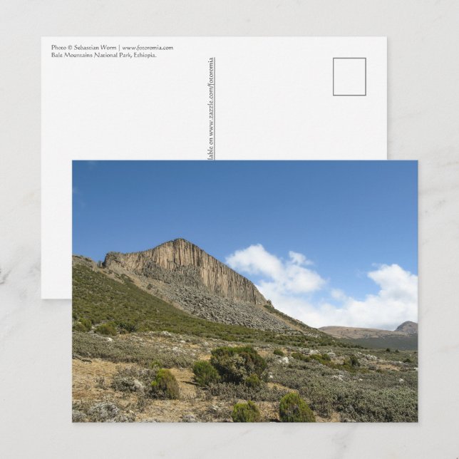 Bale Mountains Ethiopia Postcard (Front/Back)