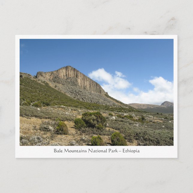 Bale Mountains Ethiopia Postcard (Front)