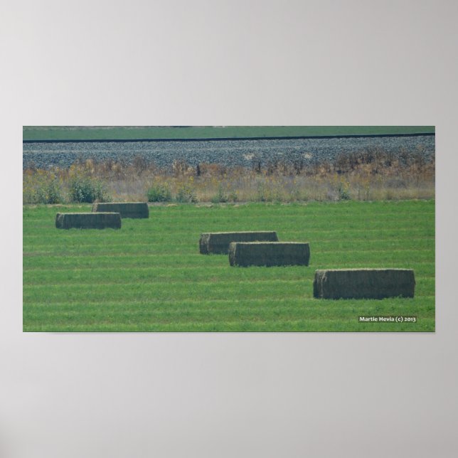 Bales of Hay II - Photo Print (Front)