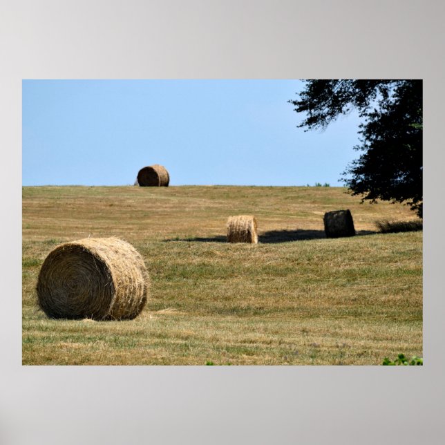 Bales of Hay Poster (Front)