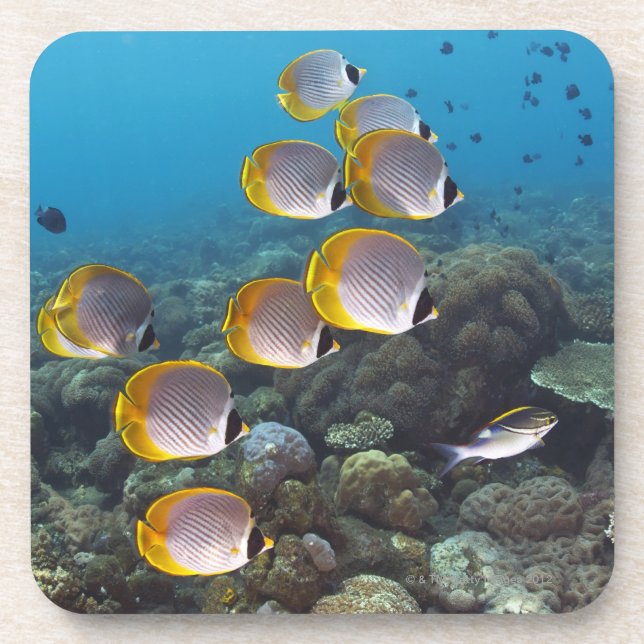 Bali, Indonesia Drink Coaster (Front)