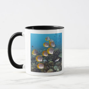Bali, Indonesia Mug