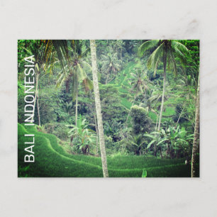 Bali Indonesia Postcard