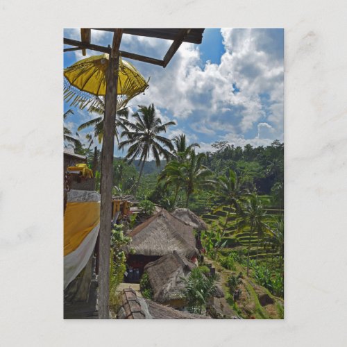 Bali Indonesia Terraced Rice Fields Postcard