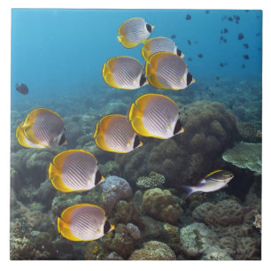 Bali, Indonesia Tile