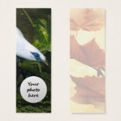 Bali Myna (Front & Back)