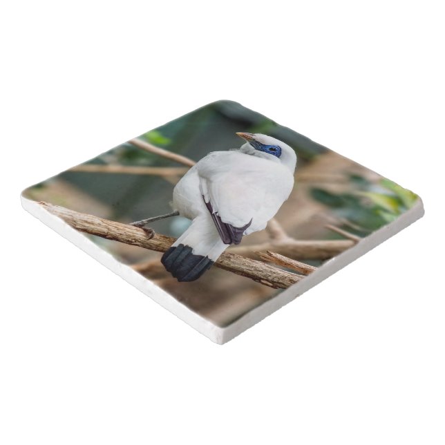 Bali Myna Bird Stone Trivet (Corner)