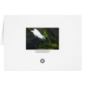 Bali Myna Cards (Back Horizontal)
