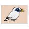 Bali Mynah