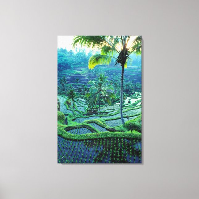 Bali | Overview Of Rice Terraces Canvas Print (Front)