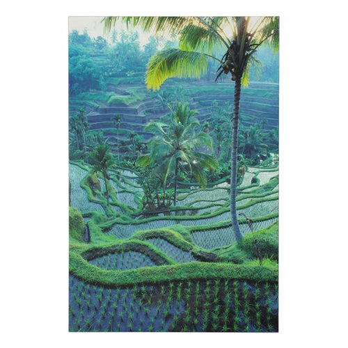 Bali  Overview Of Rice Terraces Faux Canvas Print