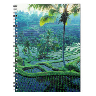 Bali   Overview Of Rice Terraces Notebook