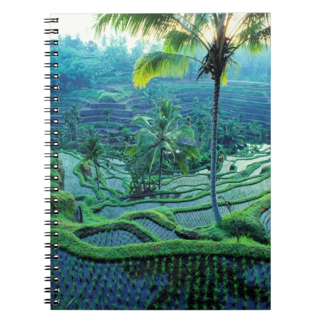 Bali | Overview Of Rice Terraces Notebook (Front)