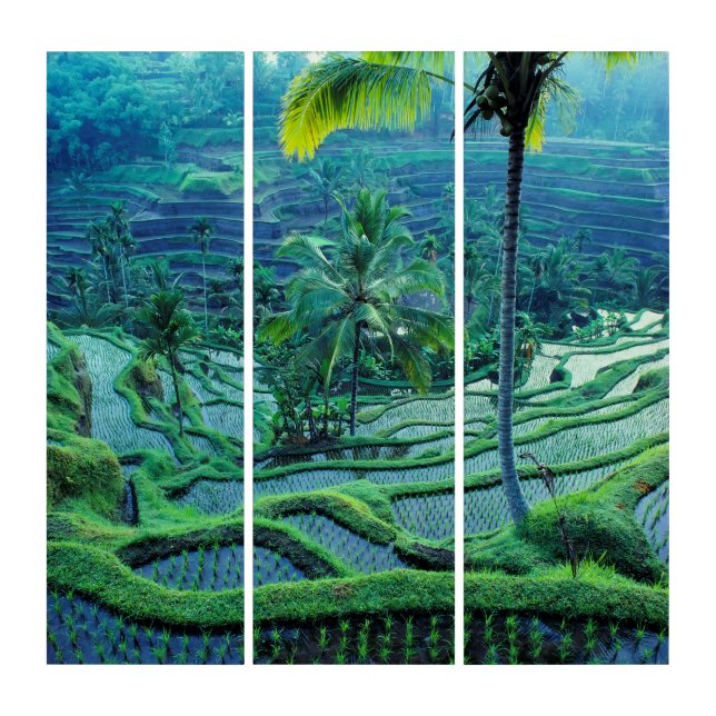 Bali | Overview Of Rice Terraces Triptych (Front)