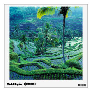 Bali   Overview Of Rice Terraces Wall Decal