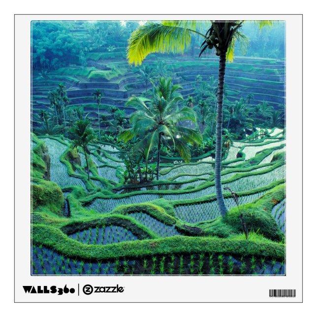 Bali | Overview Of Rice Terraces Wall Decal (Front)