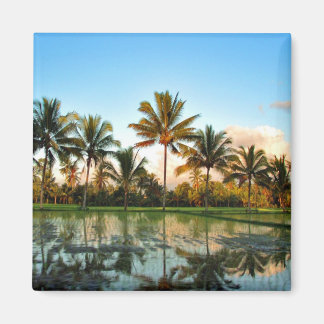 Bali Palm Trees magnet