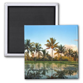 Bali Palm Trees Magnet by sequindreams at Zazzle