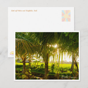 Bali Palm Trees & Ricefield Postcard