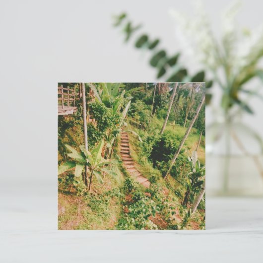 Bali rainforest Stairway (Standing Front)