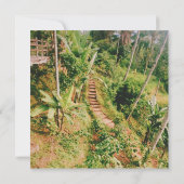 Bali rainforest Stairway (Back)
