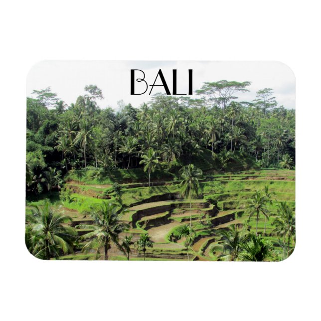 bali rice paddies magnet (Horizontal)